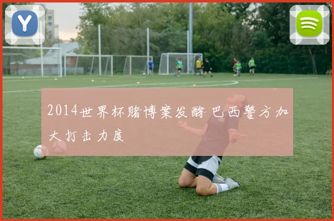 2014世界杯赌博案发酵 巴西警方加大打击力度