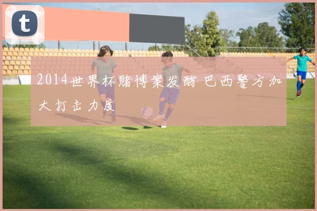 2014世界杯赌博案发酵 巴西警方加大打击力度
